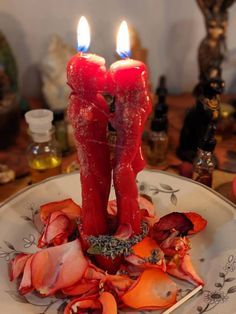 Tarot reading for love and relationships